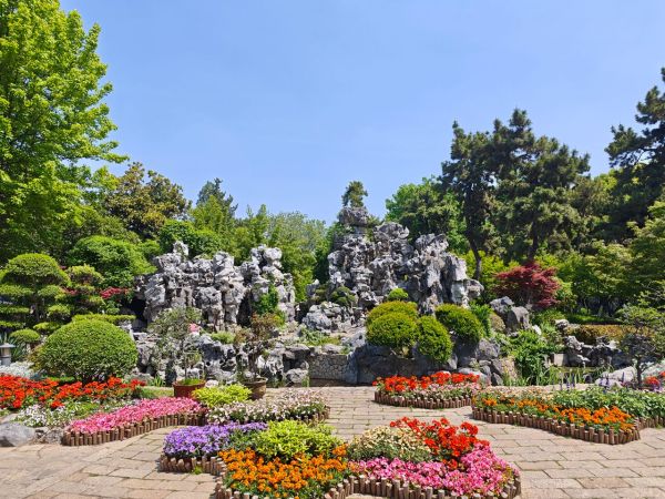 Le rôle de la rocaille dans l'éco-jardinage