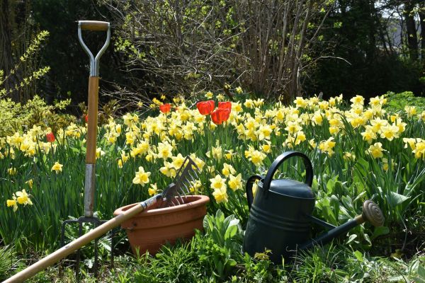 Restaurer ses outils de jardinage : un geste éco-responsable